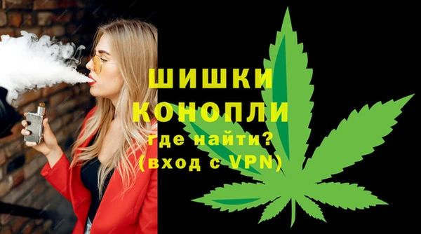 ешки Арсеньев