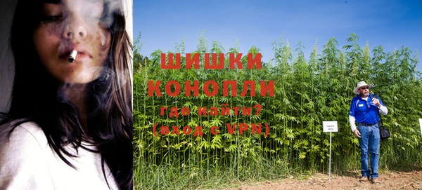 ешки Арсеньев