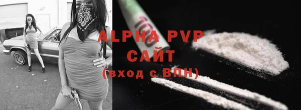 PSILOCYBIN Аркадак