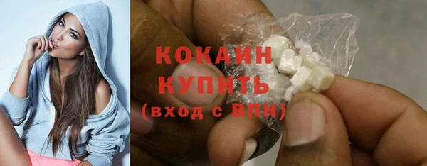 PSILOCYBIN Аркадак