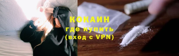 ешки Арсеньев