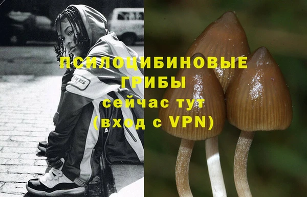 ешки Арсеньев