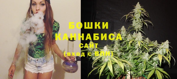 PSILOCYBIN Аркадак