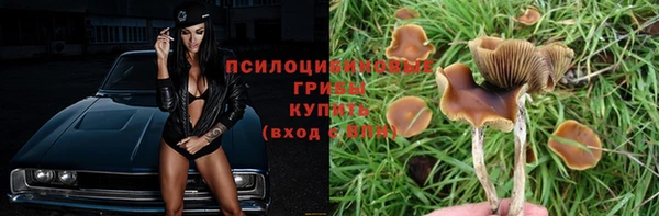 ешки Арсеньев