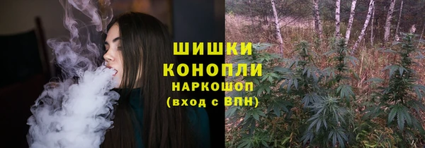 ешки Арсеньев