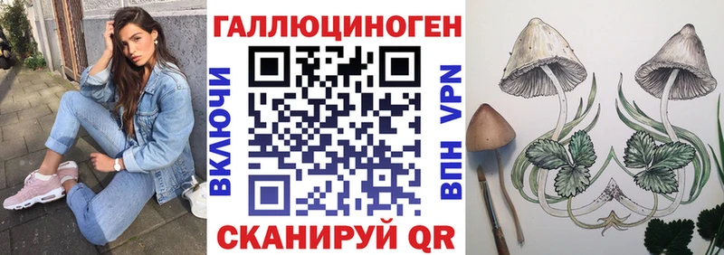 наркота  Георгиевск  ОМГ ОМГ ССЫЛКА  Галлюциногенные грибы мухоморы 